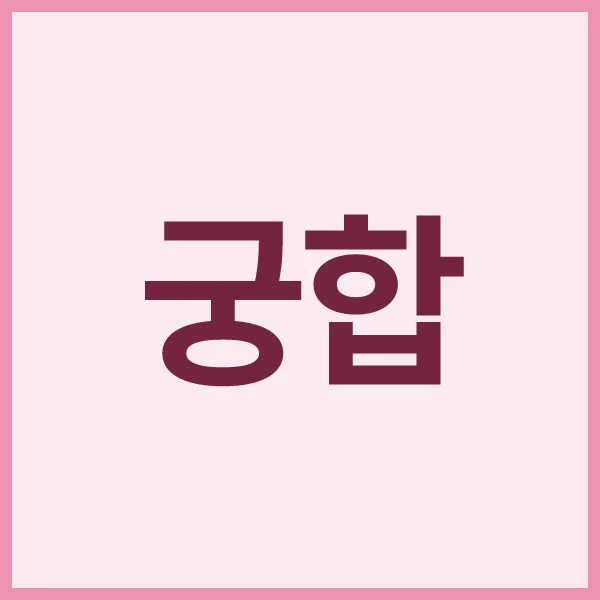 닝겐사주 궁합