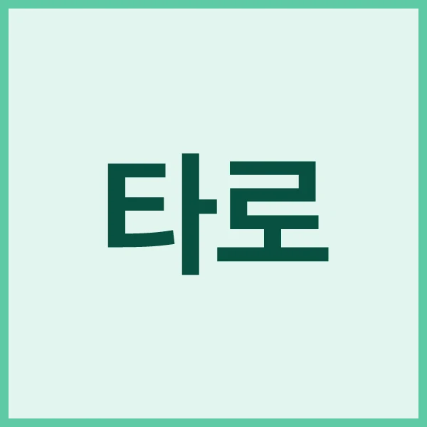 닝겐사주 타로