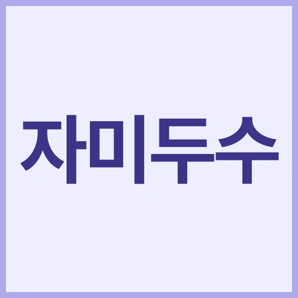 닝겐사주 자미두수